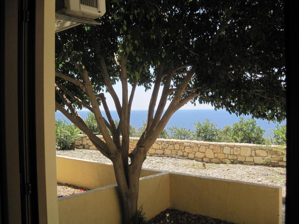 Sfinias Apartments Kali Limenes Rum bild